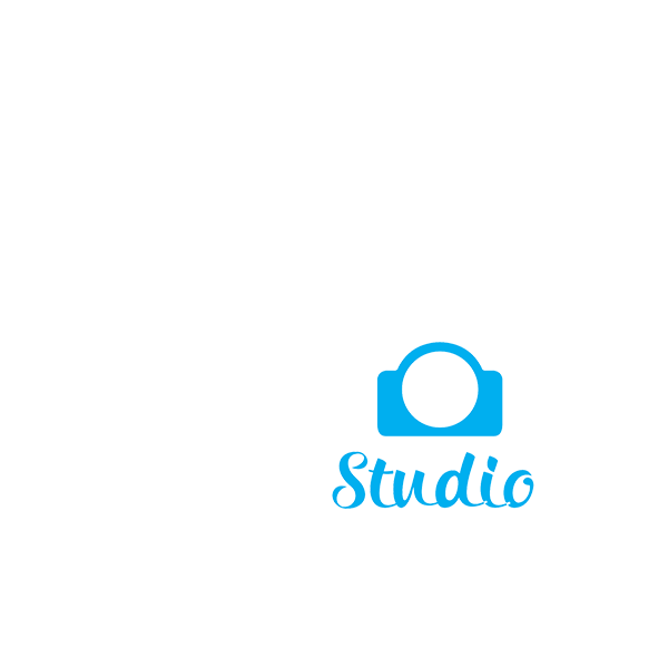 Vivo Studio logo