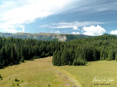 slika 136