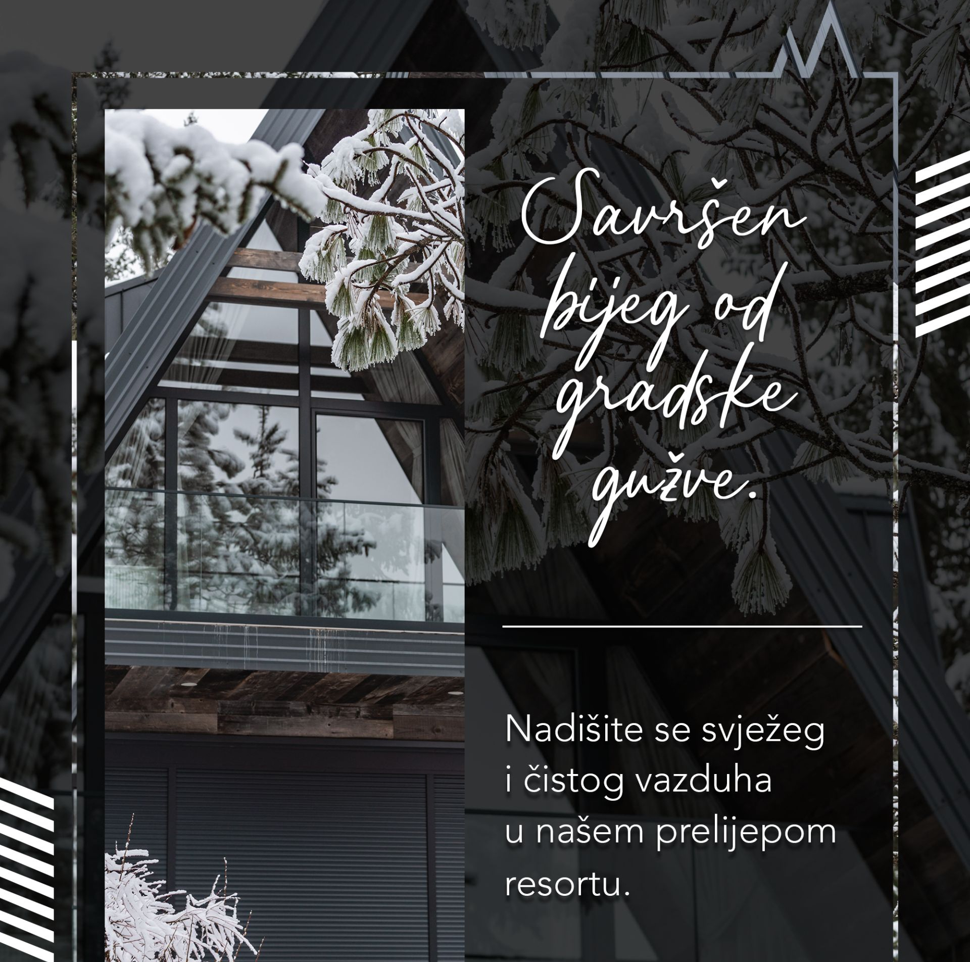 gallery-picture