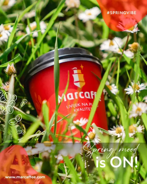 marcaffe_bih_1748266945_3641049499095429637_11339104081.jpg
